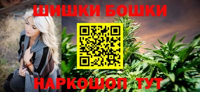 шишки Обь