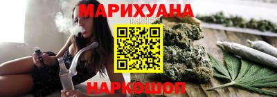 шишки Обь