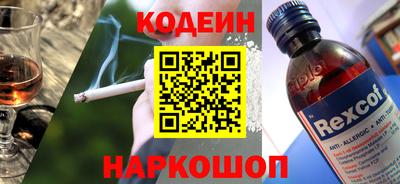 шишки Обь