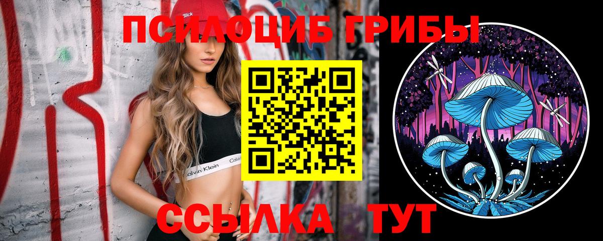 Ртищево  Псилоцибиновые грибы Cubensis  Вход с VPN 