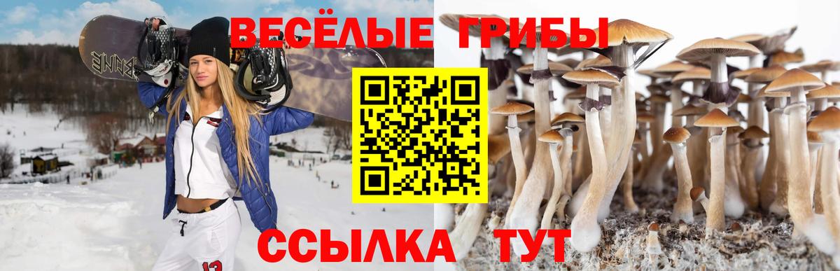 Галлюциногенные грибы прущие грибы Ртищево